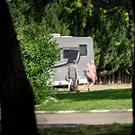 Hostel Albergue Zaragoza Camping *