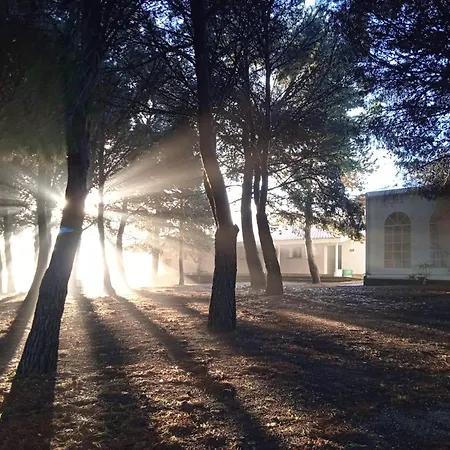 호스텔 Albergue Zaragoza Camping 사라고사