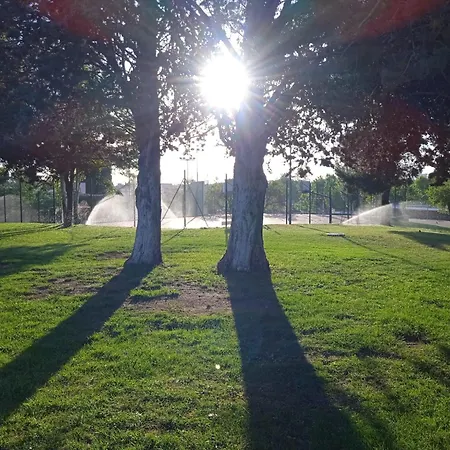 Albergue Zaragoza Camping Zaragoza