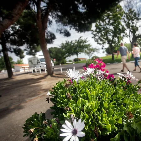 Albergue Zaragoza Camping بيت شباب