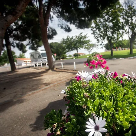 Albergue Zaragoza Camping بيت شباب سرقسطة