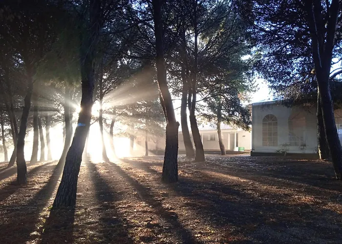 Hostel Albergue Zaragoza Camping Saragossa