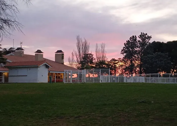 Hostel Albergue Zaragoza Camping