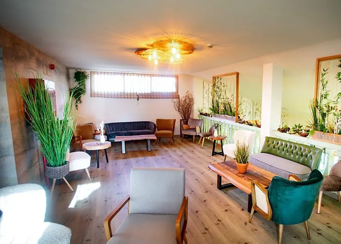 Albergue Zaragoza Camping Saragossa